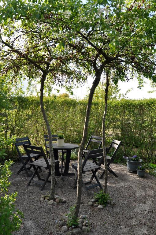 Bed and Breakfast Kontakta Liselotte Abel Vessigebro Exterior foto